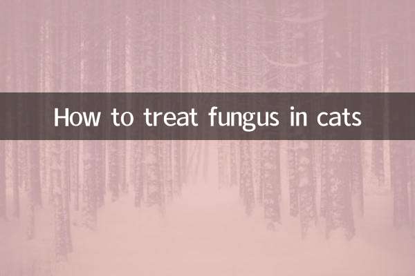 كيفية علاج الفطريات في القطط