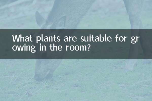 What plants are suitable for growing in the room?