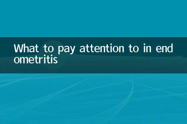 Was ist bei einer Endometritis zu beachten?