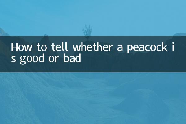 Wie erkennt man, ob ein Pfau gut oder böse ist?