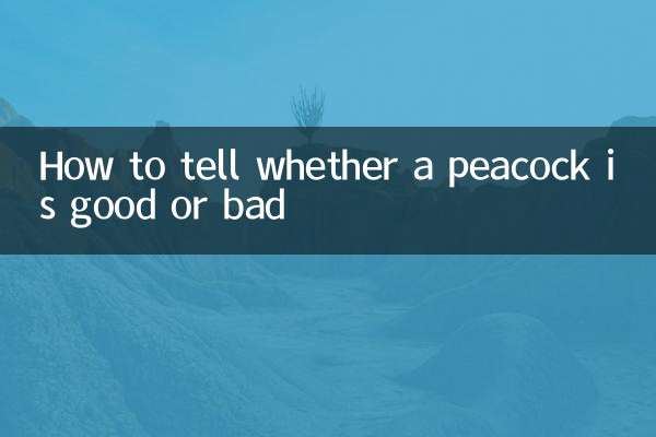 怎么看孔雀的好坏