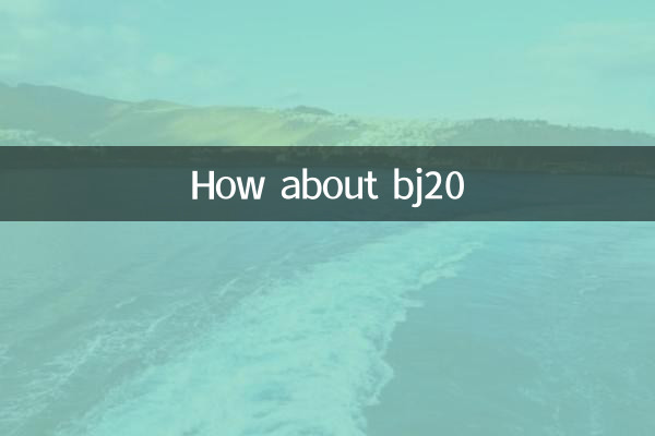 bj20はどうですか？