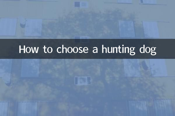 사냥개를 선택하는 방법