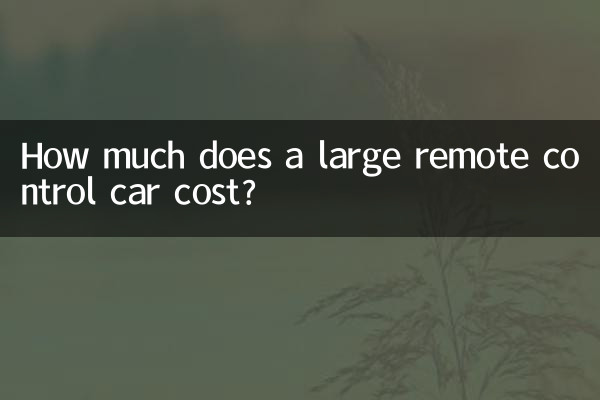 대형 원격 조종 자동차의 가격은 얼마입니까?