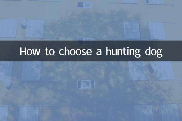 Como escolher um cão de caça