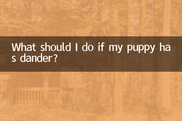 What should I do if my puppy has dander?