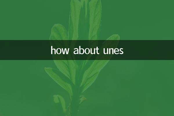 운스는 어때요?