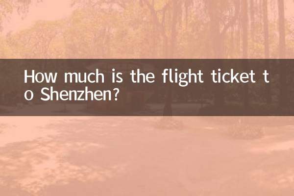 শেনজেন যাওয়ার ফ্লাইটের টিকিট কত?