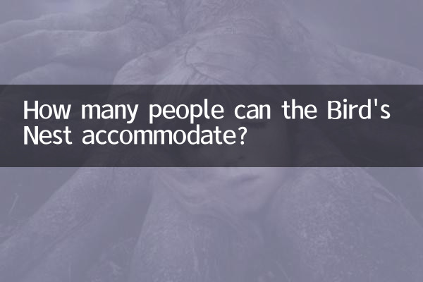 How many people can the Bird's Nest accommodate?