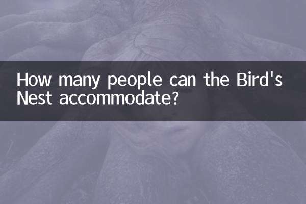 How many people can the Bird's Nest accommodate?