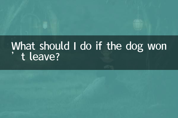What should I do if the dog won’t leave?