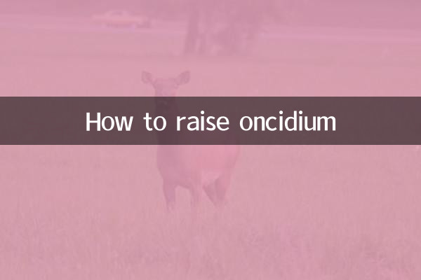 How to raise oncidium