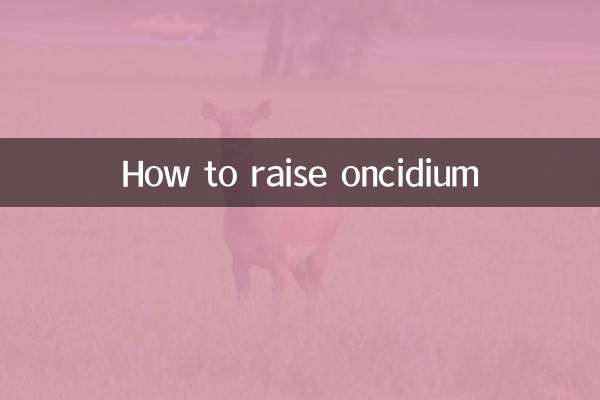 How to raise oncidium