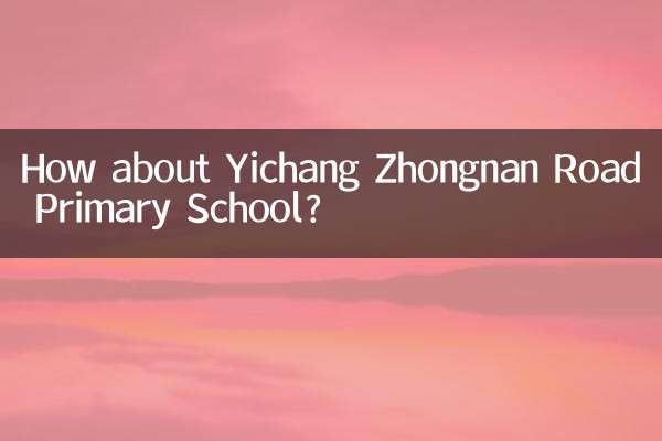 How about Yichang Zhongnan Road Primary School?