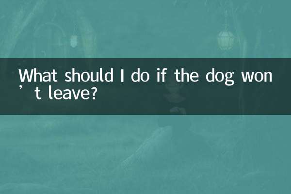 What should I do if the dog won’t leave?