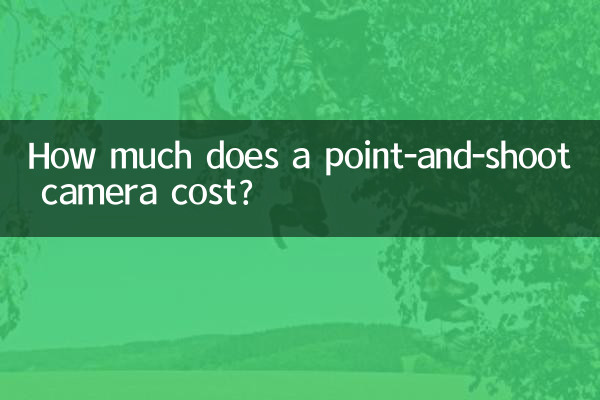 ¿Cuánto cuesta una cámara de apuntar y disparar?