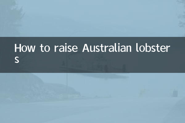 호주산 랍스터를 키우는 방법