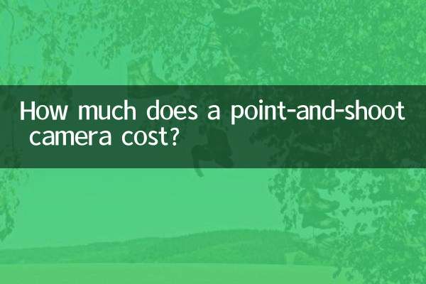 ¿Cuánto cuesta una cámara de apuntar y disparar?