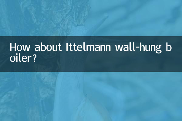 Wie wäre es mit einem wandhängenden Heizkessel von Ittelmann?