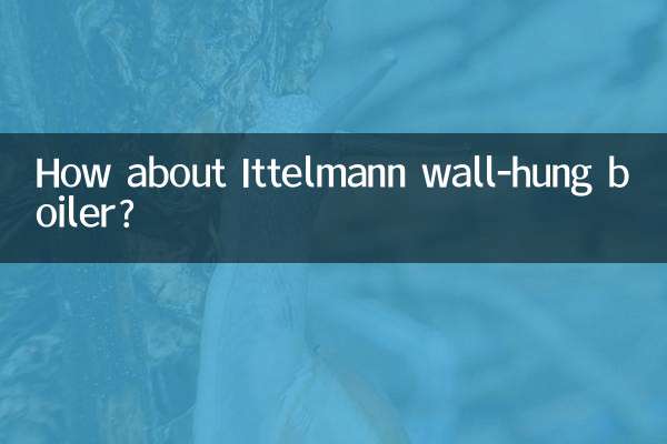 意特爾曼壁掛爐怎麼樣