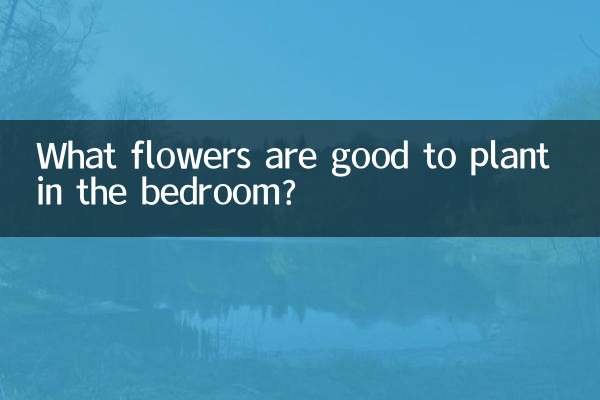 卧室栽什么花好