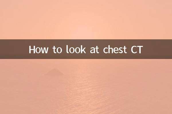흉부CT 보는 방법