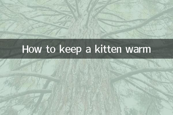 子猫を暖かく保つ方法