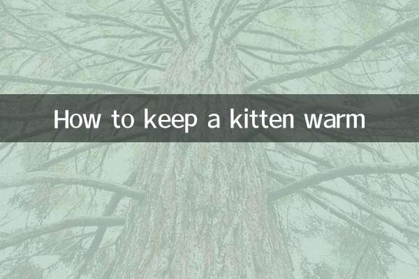 怎麼給奶貓保暖