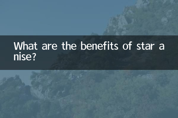 八角茴香有什么功效