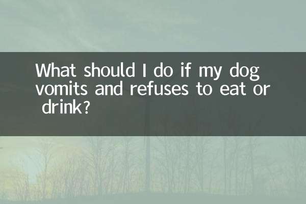 यदि मेरा कुत्ता उल्टी कर दे और खाने या पीने से इंकार कर दे तो मुझे क्या करना चाहिए?