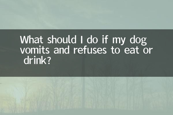 यदि मेरा कुत्ता उल्टी कर दे और खाने या पीने से इंकार कर दे तो मुझे क्या करना चाहिए?