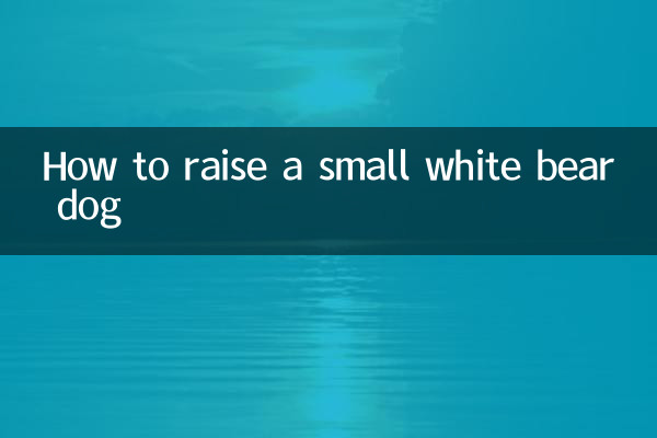 小白熊犬怎麼養