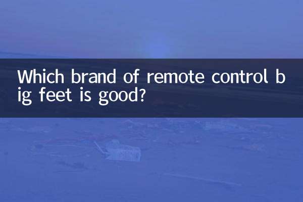 리모콘 빅발 어떤 브랜드가 좋은가요?