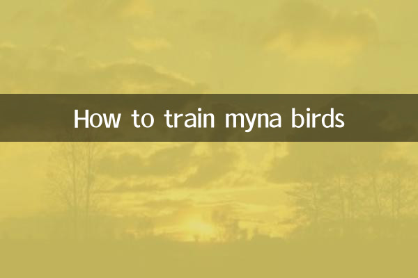 نحوه آموزش پرندگان مینا