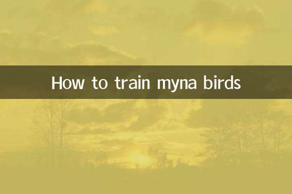 نحوه آموزش پرندگان مینا