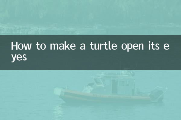 Come far aprire gli occhi ad una tartaruga