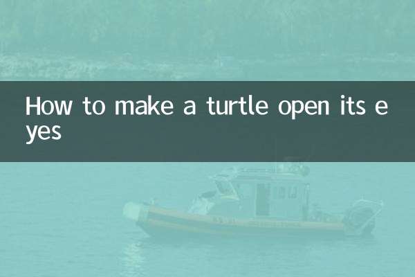 چگونه یک لاک پشت را وادار کنیم که چشمانش را باز کند