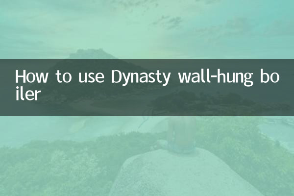 Comment utiliser la chaudière murale Dynasty