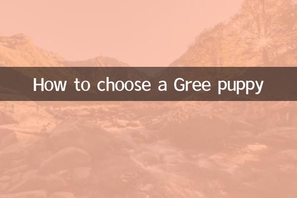 كيفية اختيار جرو جري