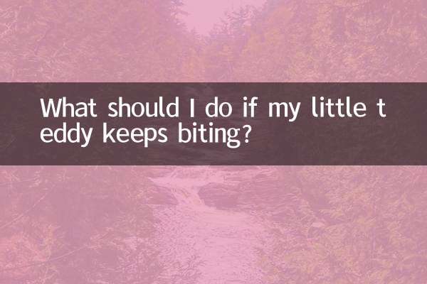 小泰迪老咬人怎麼辦