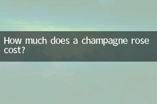 샴페인 장미 가격은 얼마입니까?