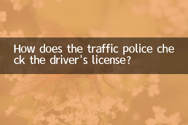 Come fa la polizia stradale a controllare la patente di guida?