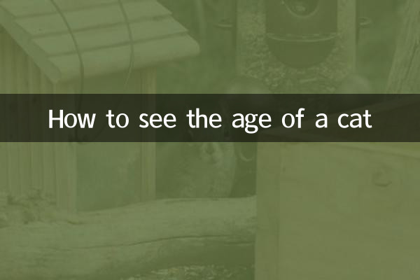 How to see the age of a cat