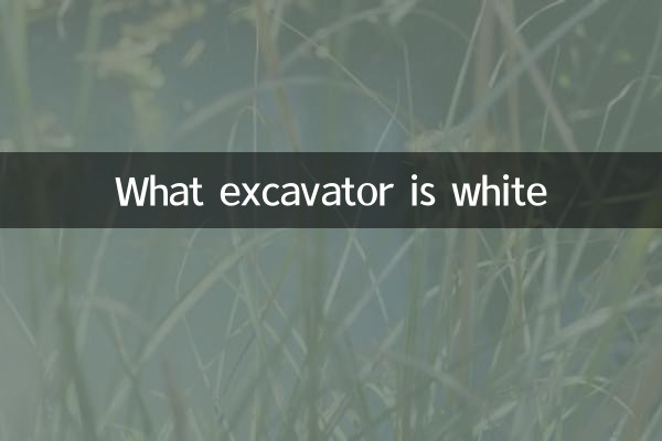 Quelle excavatrice est blanche