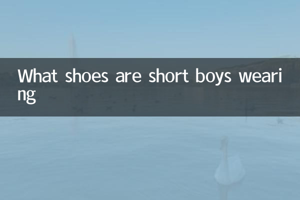 What shoes are short boys wearing