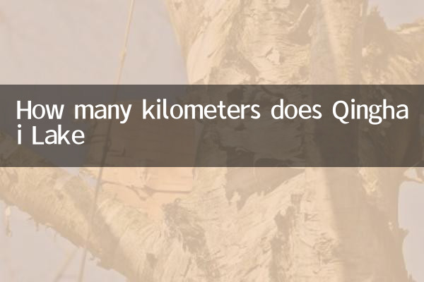 Qinghai Lake는 몇 킬로미터입니까?