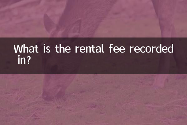 What is the rental fee recorded in?