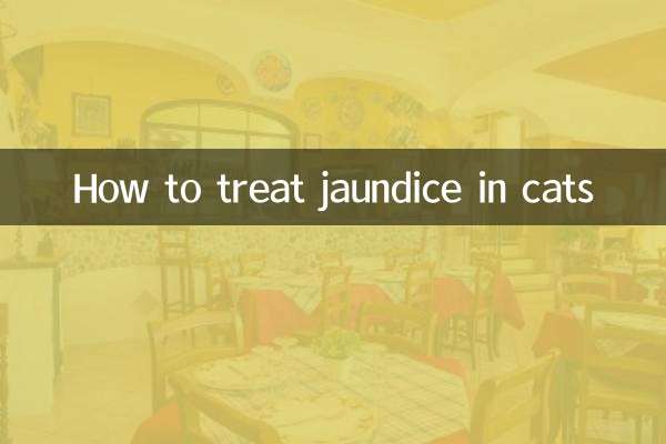 How to treat cat jaundice