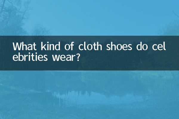 What kind of cloth shoes do celebrities wear?