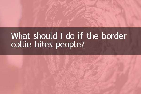 What should I do if the border collie bites people?